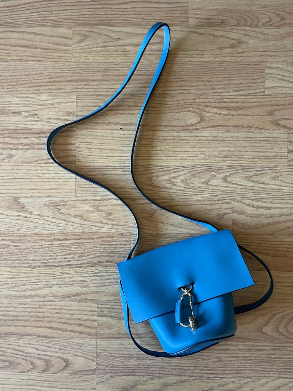 ZAC Zac Posen Leather Crossbody Bag